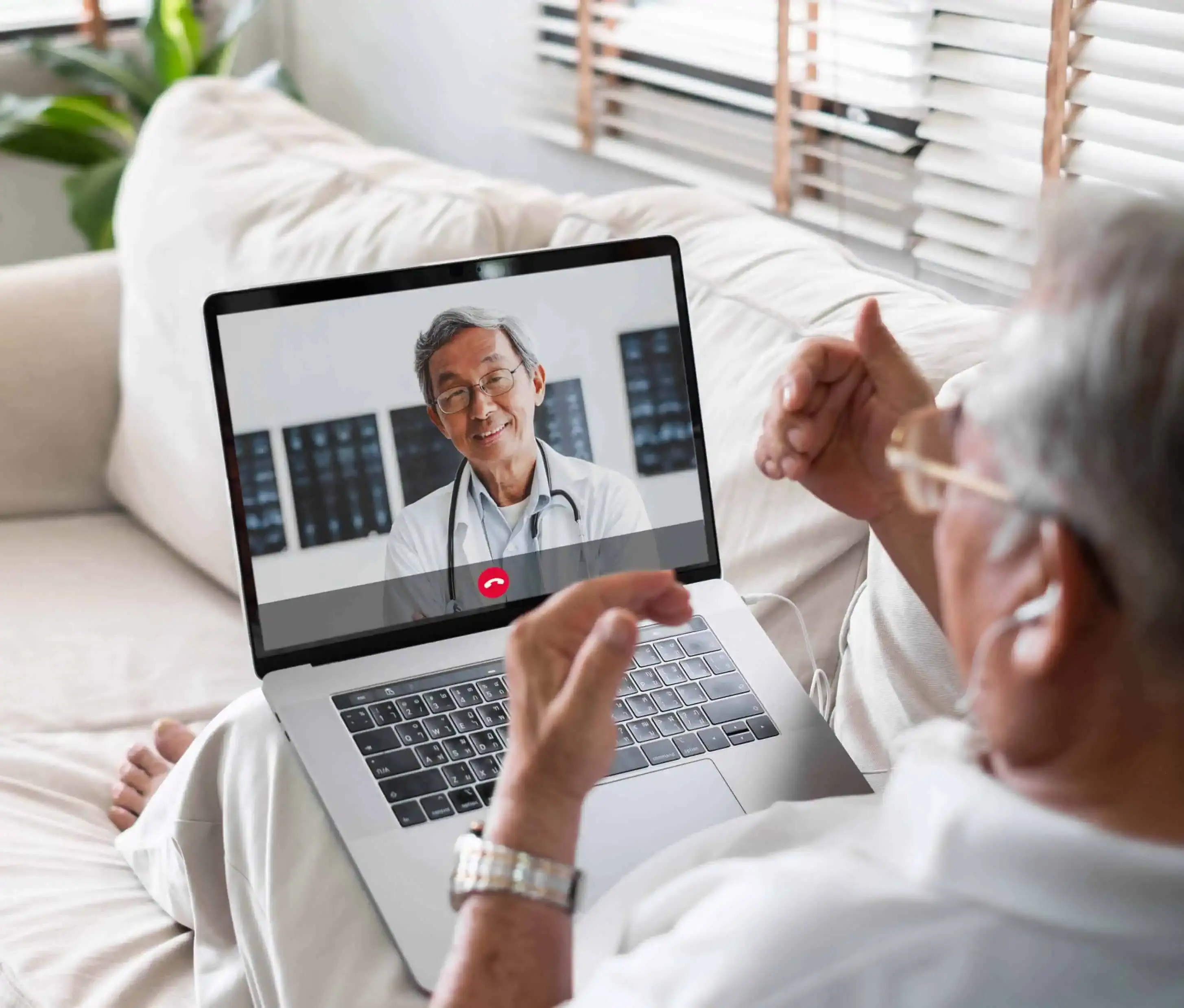 Telehealth in the Present